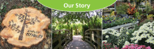 OurStory 300x96