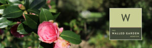 WG Banner02 300x96