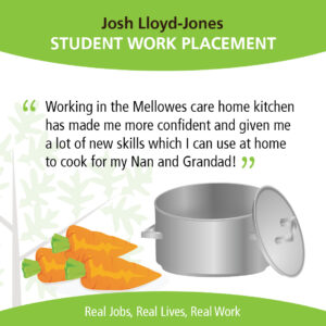 JoshLloydQuote 300x300