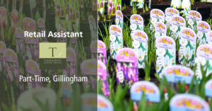 retailassistantparttime 300x157