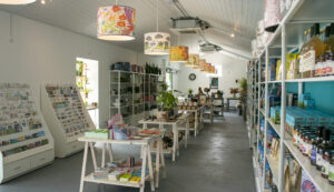 shop3 300x173