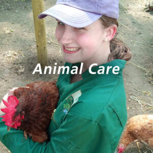 animalcare 300x300