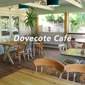 dovecotecafe 300x300