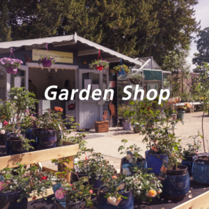 gardenshop 300x300