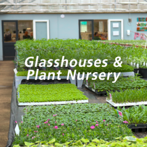 glasshousesandplantnursery 300x300