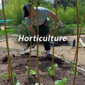 horticulure 300x300