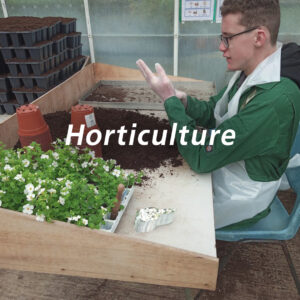 horticulureTG 300x300