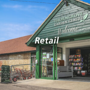 retail 300x300