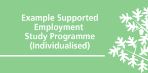 Individualised Suported Employment Study Programme 300x149