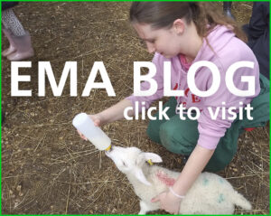 blogclick 300x239
