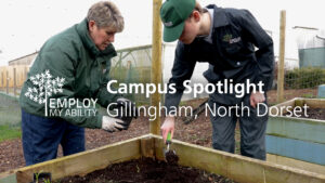 gillinhgam thumbnail 300x169