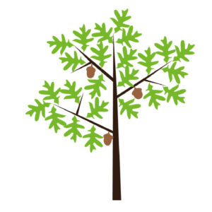 tree 300x300