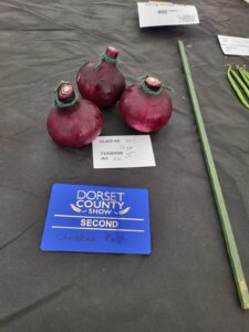 IMG 20240907 WA0003 225x300