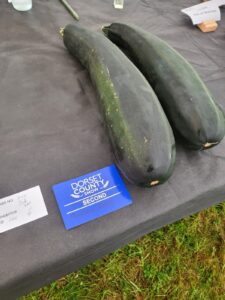 IMG 20240907 WA0005 225x300