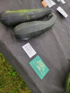 IMG 20240907 WA0006 225x300