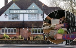 red lion sis header image 300x189
