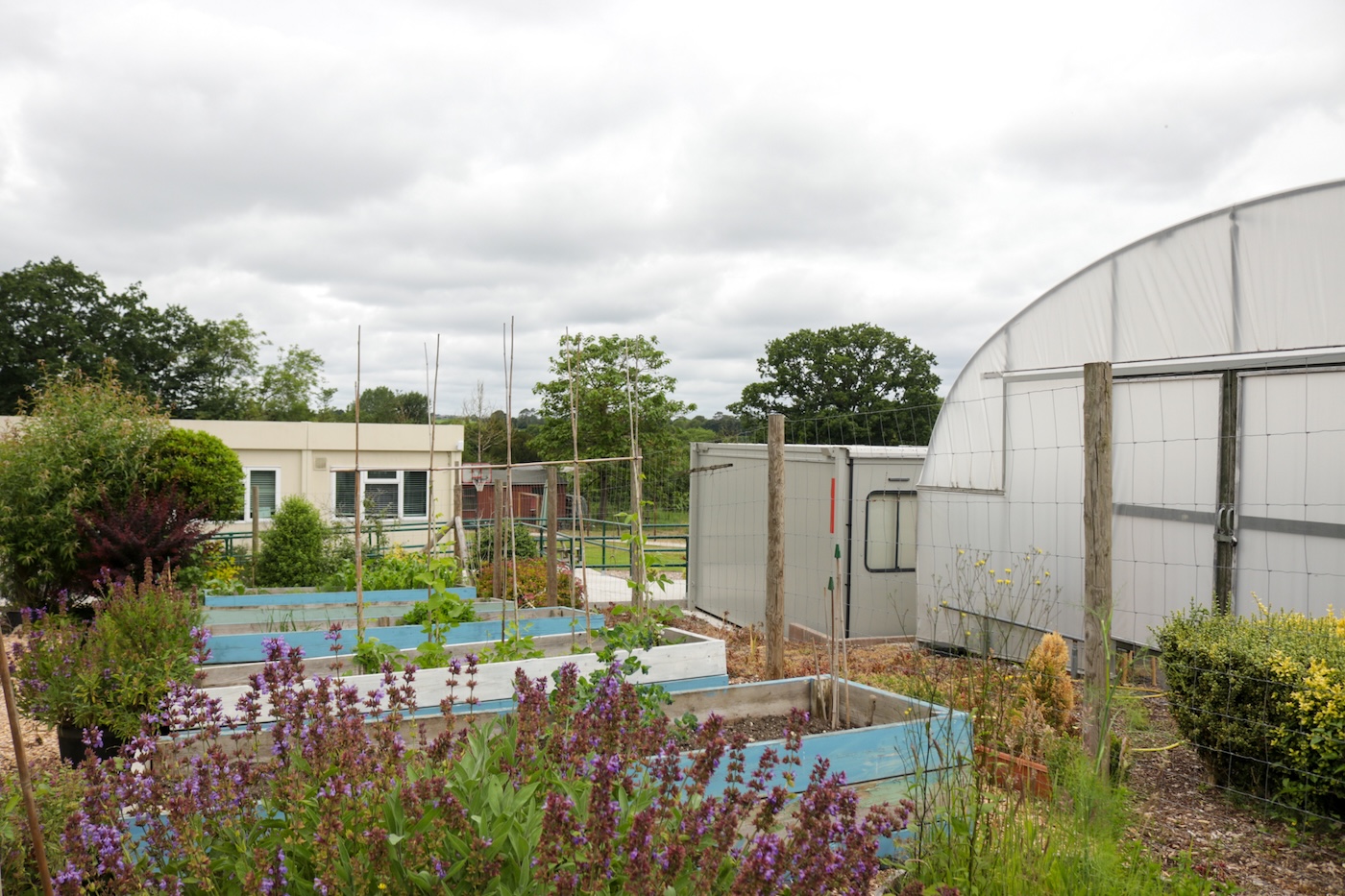 EMA Gill Campus 2026 1